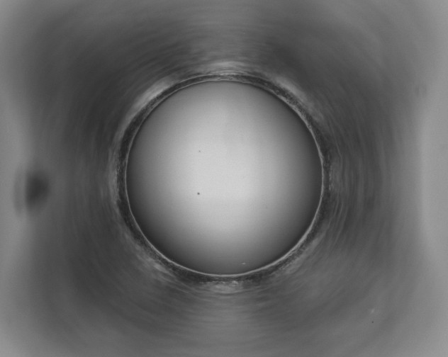 X0000113101410200909041217