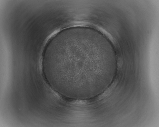 X0000113101411200909041217