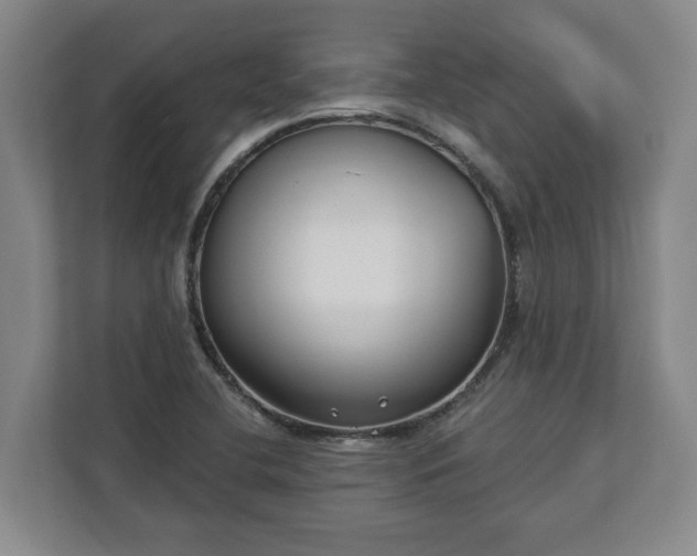 X0000113101412200909041217