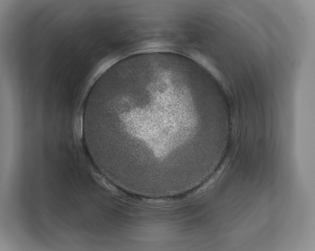 X0000113101413200909041217