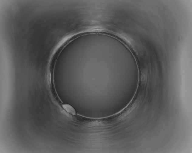 X0000113101414200909041217