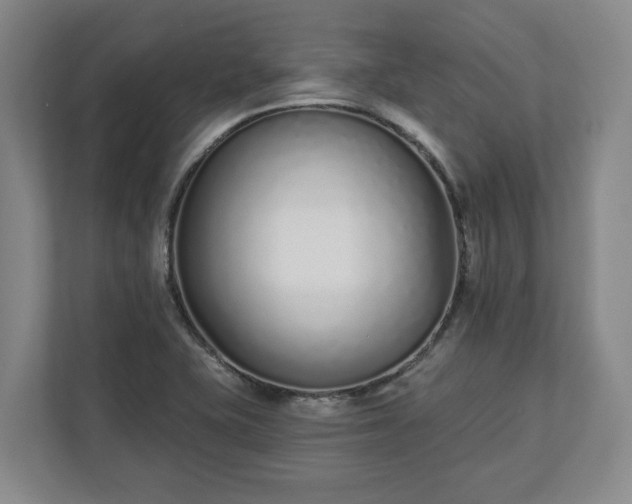 X0000113101415200909041217