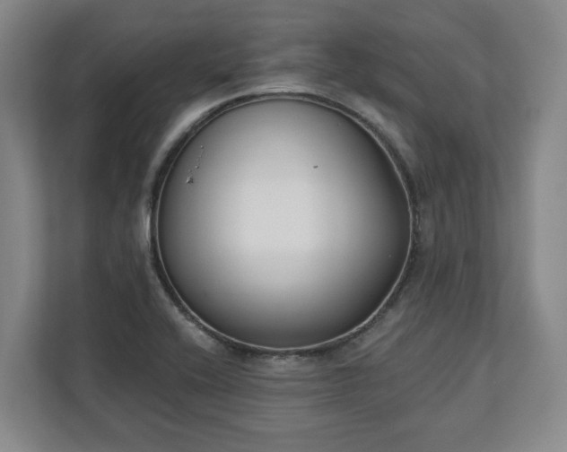 X0000113101416200909041217