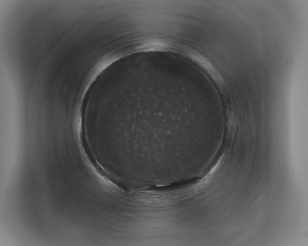 X0000113101418200909041217