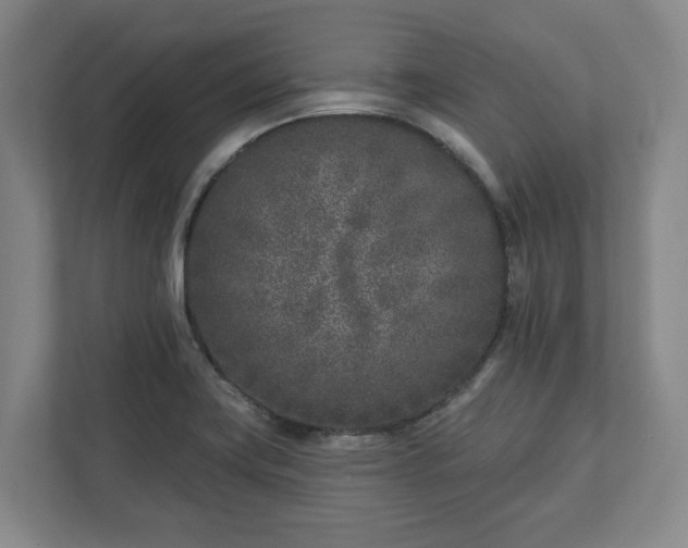X0000113101419200909041217