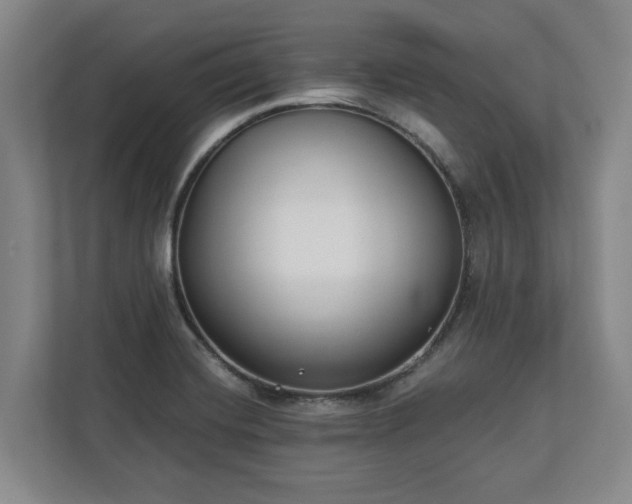 X0000113101420200909041217