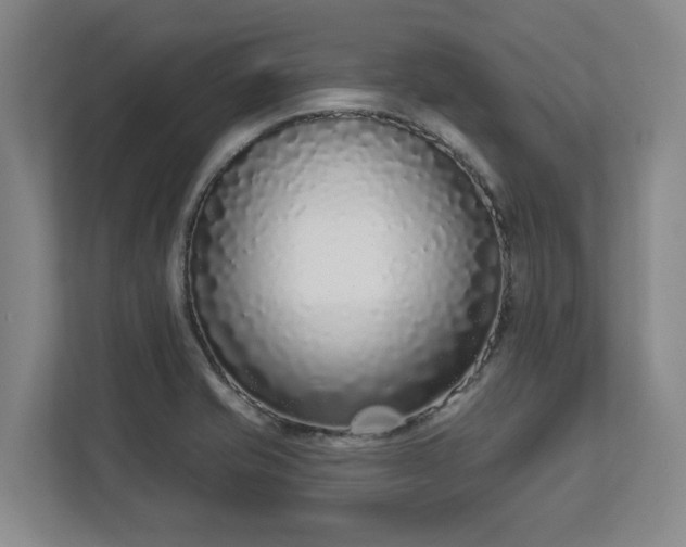 X0000113101421200909041217
