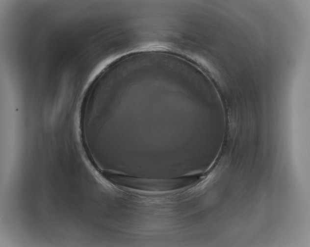 X0000113101422200909041217