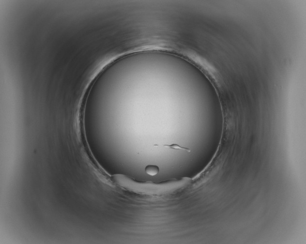 X0000113101423200909041217