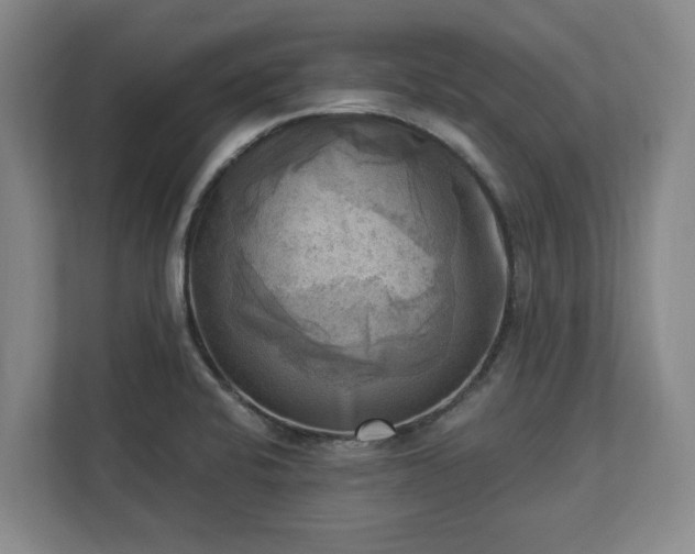 X0000113101424200909041217
