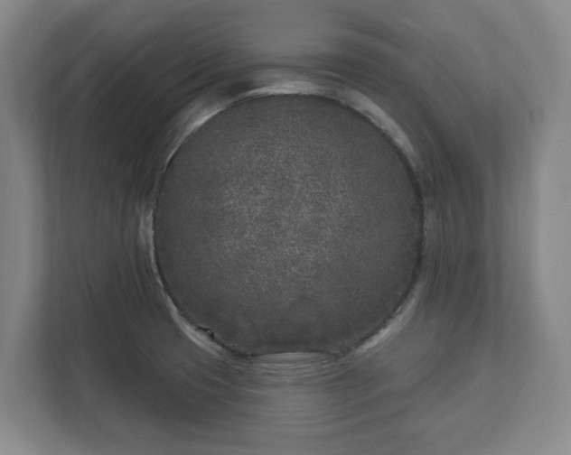 X0000113101425200909041217