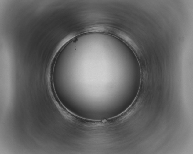 X0000113101426200909041217