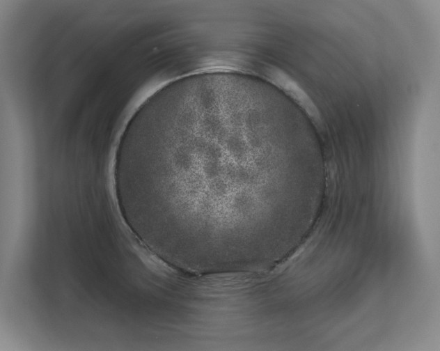 X0000113101427200909041217