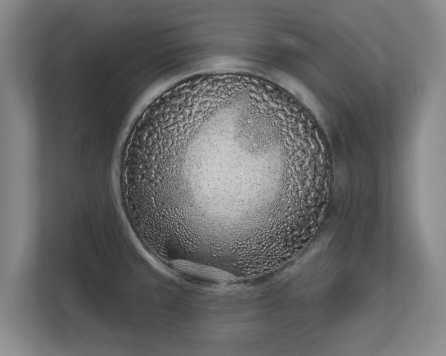 X0000113101429200909041217