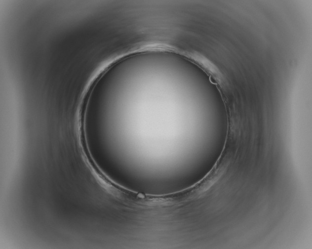 X0000113101430200909041217