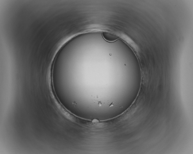 X0000113101431200909041217