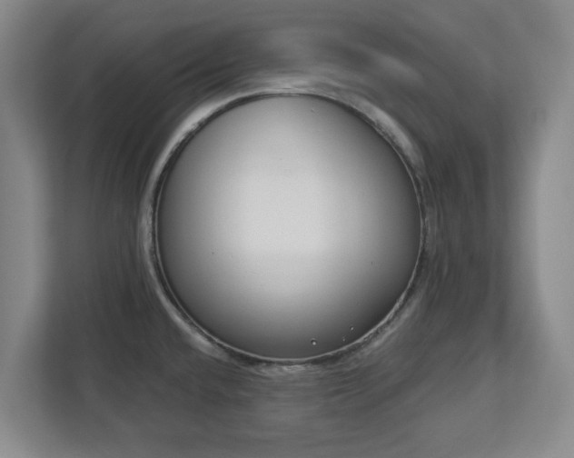 X0000113101432200909041217