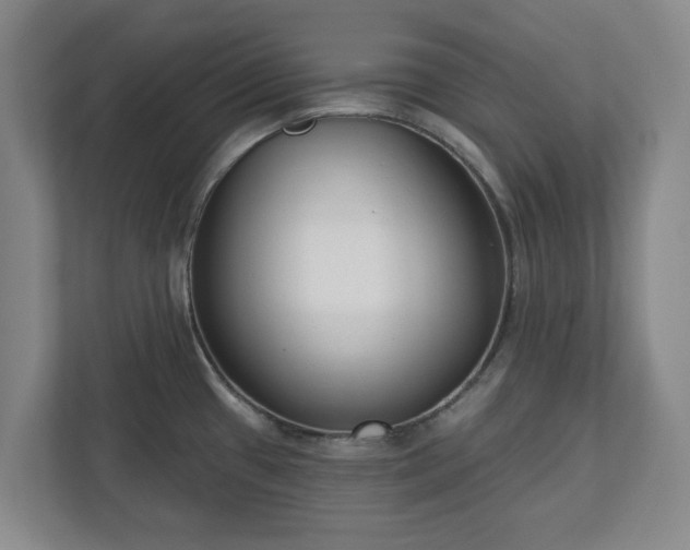 X0000113101433200909041217