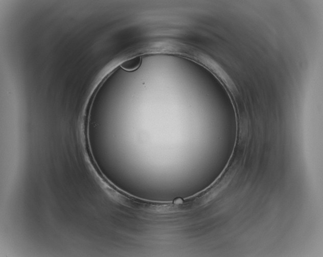 X0000113101434200909041217