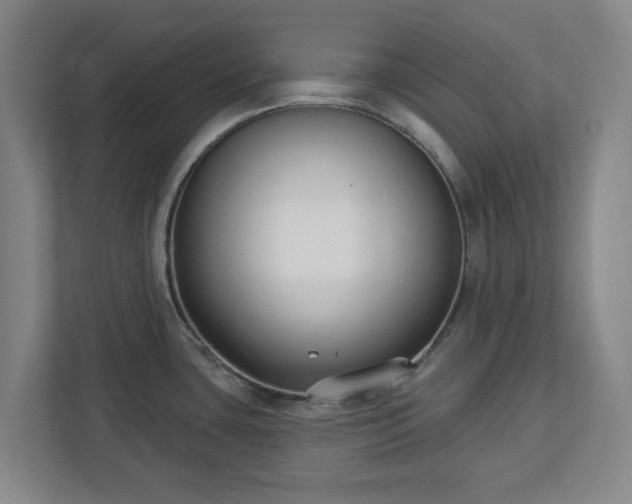 X0000113101435200909041217