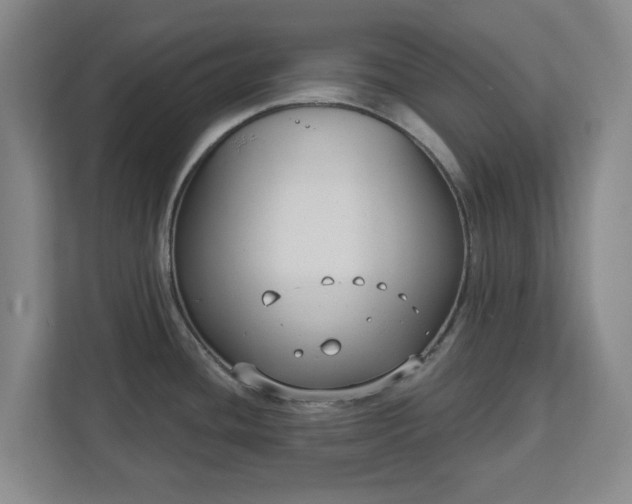 X0000113101436200909041217