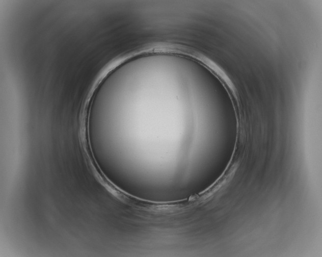 X0000113101437200909041217
