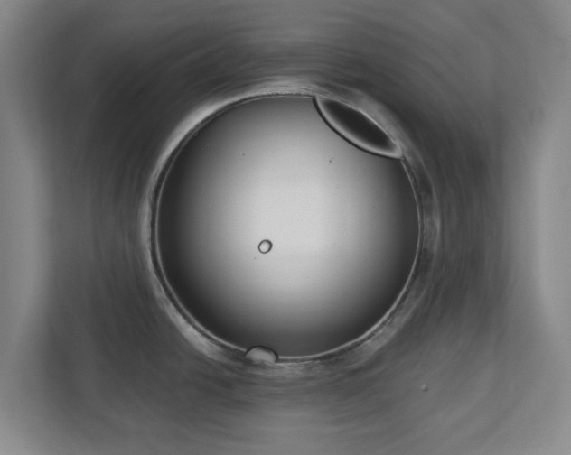 X0000113101438200909041217