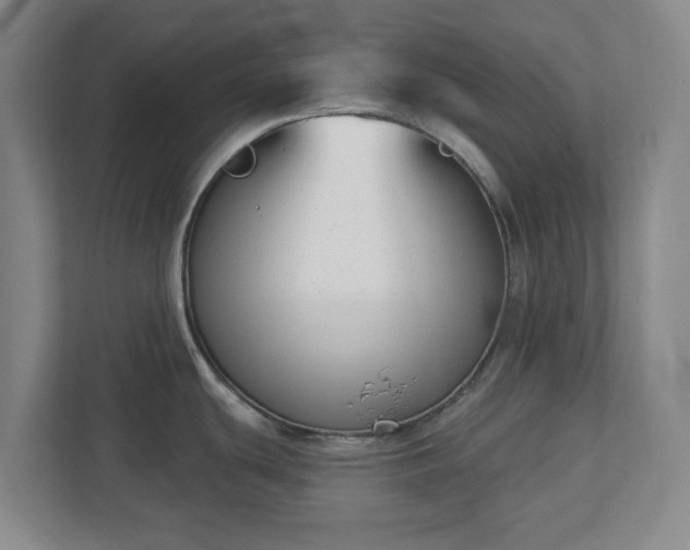 X0000113101439200909041217