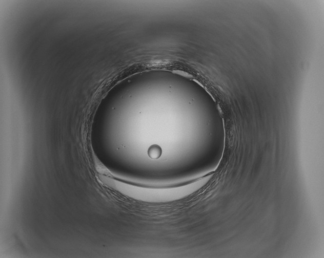 X0000113101441200909041217