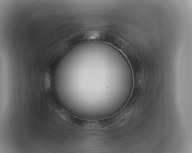 X0000113101442200909041216