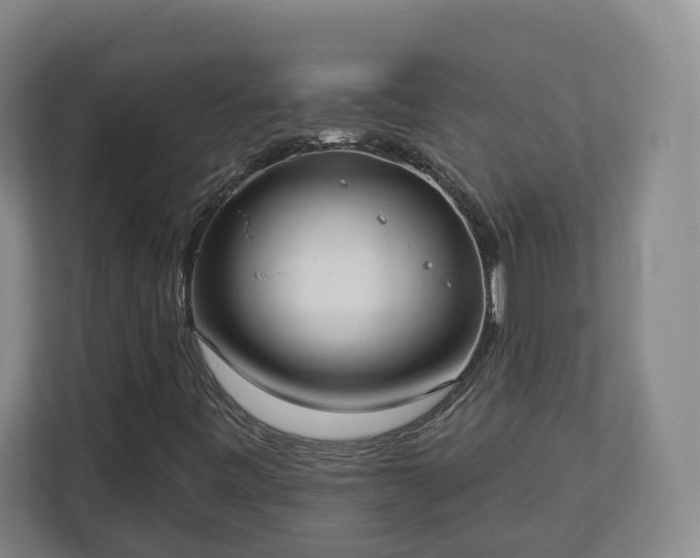 X0000113101443200909041216
