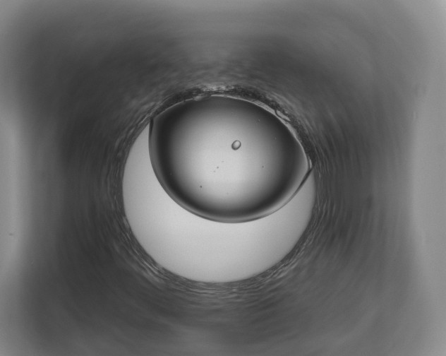 X0000113101444200909041216