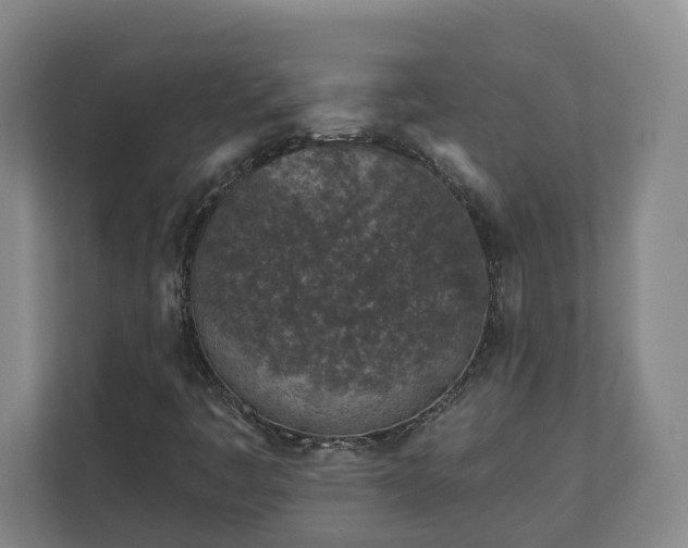 X0000113101445200909041216