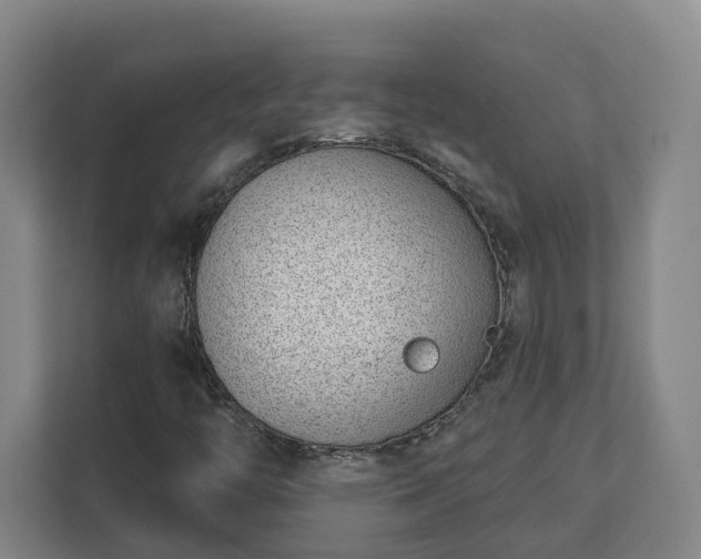 X0000113101446200909041216