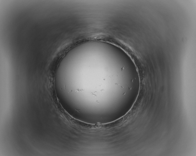 X0000113101447200909041216