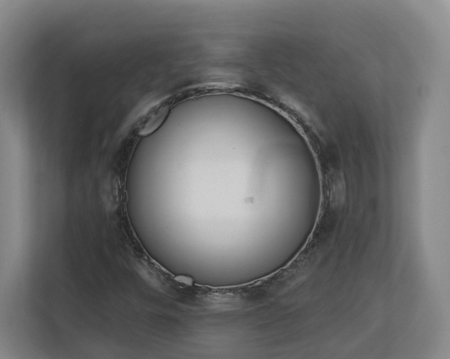 X0000113101448200909041216