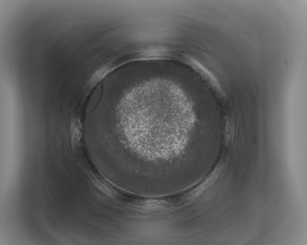 X0000113101449200909041216
