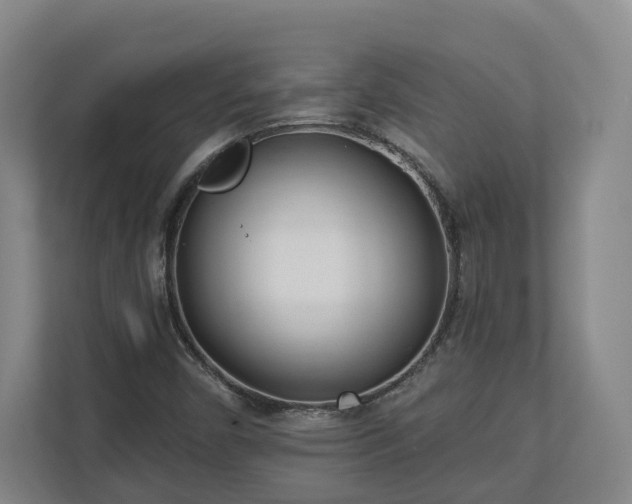 X0000113101450200909041216