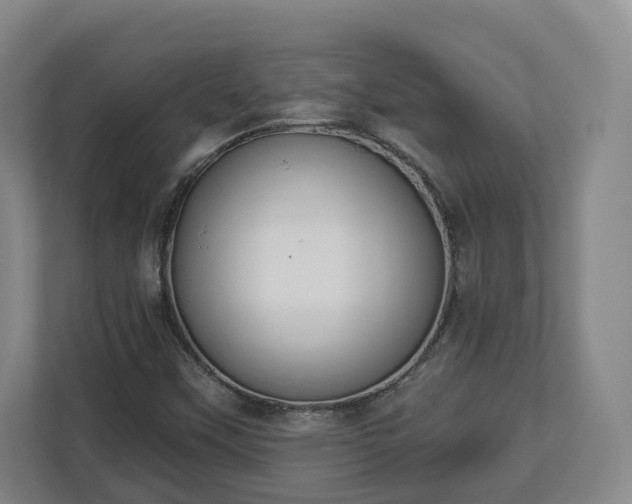 X0000113101451200909041216