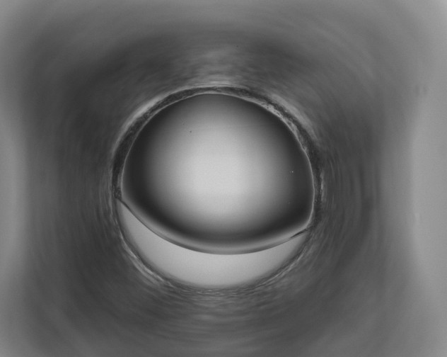 X0000113101452200909041216