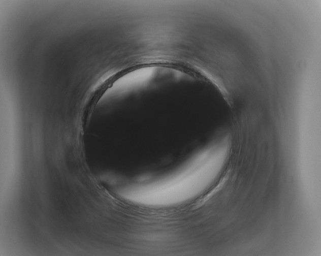 X0000113101453200909041216