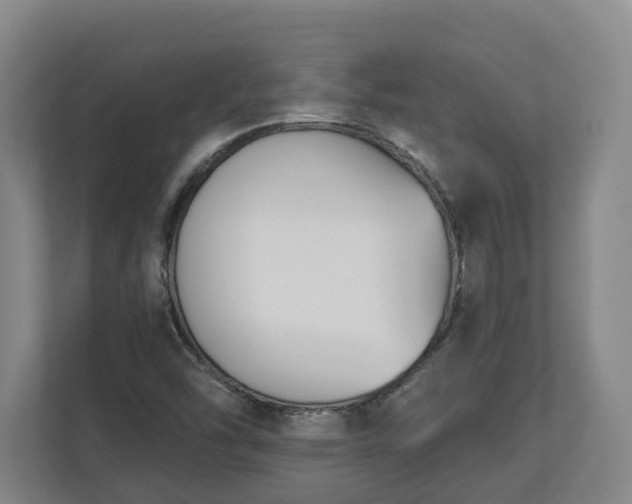 X0000113101454200909041216