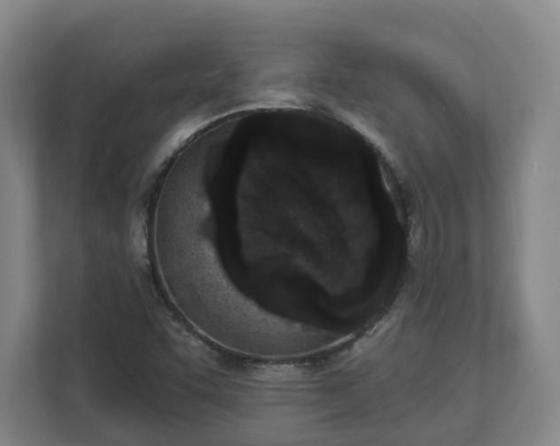 X0000113101455200909041216