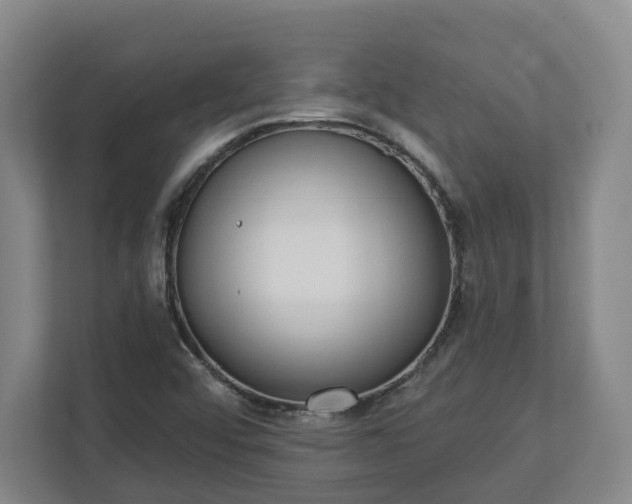 X0000113101456200909041216