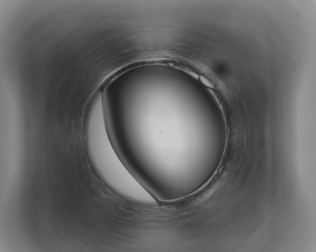 X0000113101457200909041216