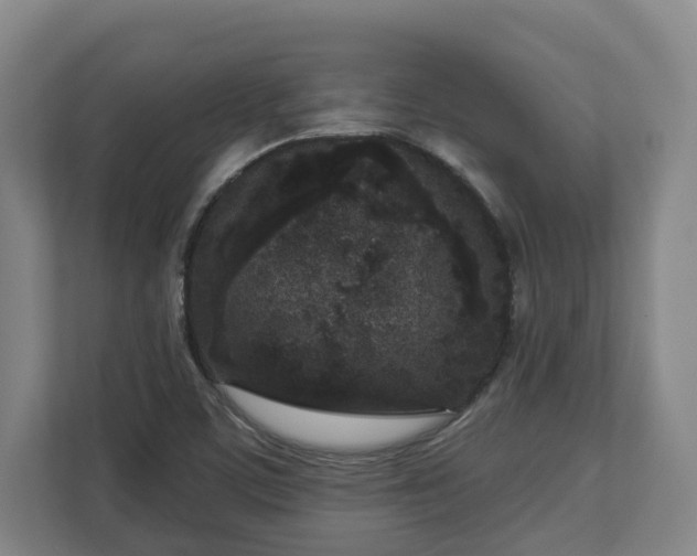 X0000113101459200909041216
