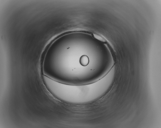 X0000113101460200909041216