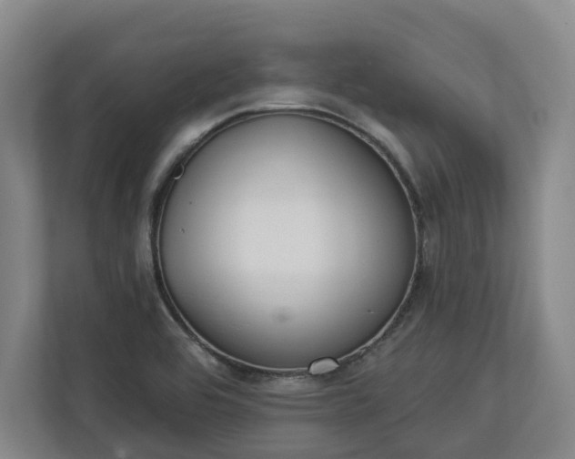 X0000113101464200909041216