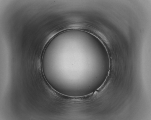 X0000113101465200909041216