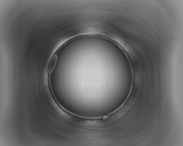 X0000113101468200909041216